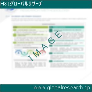 グローバルリサーチ調査レポートのイメージ